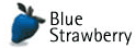 Blue Strawberry Recruitment.