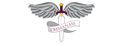Credit Management Solutions