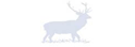 The Carlton Forest Partnership