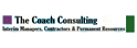 The Coach Consulting Limited