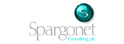 Spargonet Consulting plc