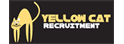 Yellow Cat Recruitment