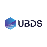 UBDS IT Consulting Ltd