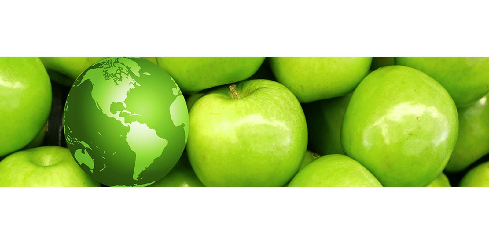 Junior Management Accountant Highend Restaurant Group London Up to £36