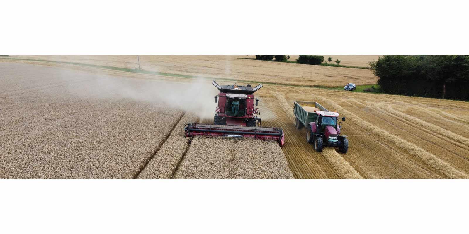 Laboratory & Weighbridge Assistant Harvest Temp in Mailer Kirkton Of