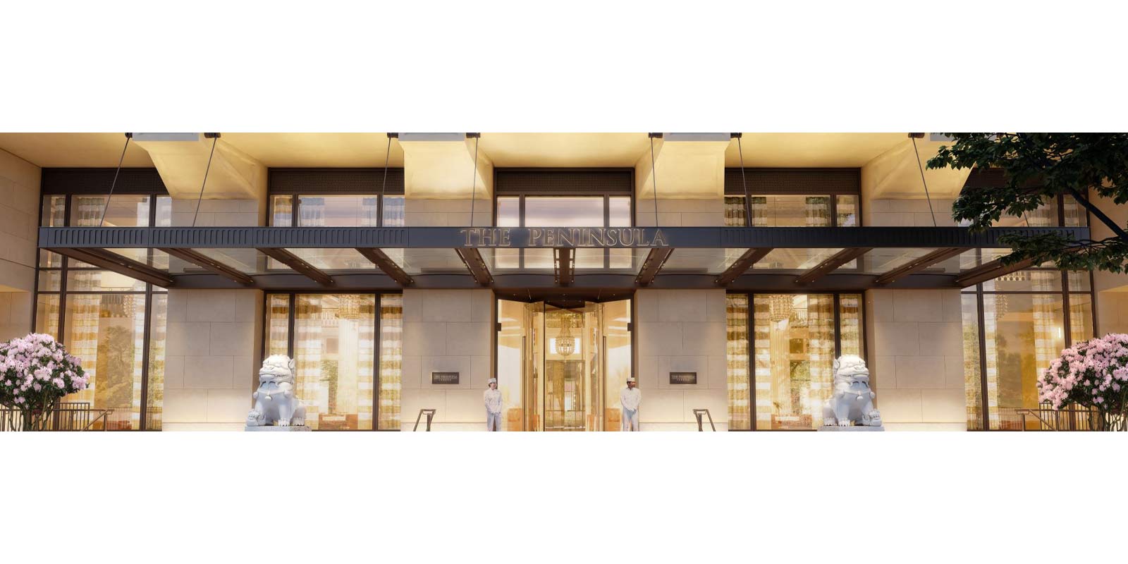 Night Guest Communication Executive Reservations In Belgravia South night-guest-communication-executive-reservations-in-belgravia-south