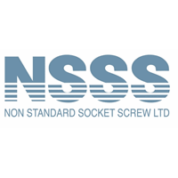 Non Standard Socket Screw Limited