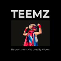 TEEMZ LTD
