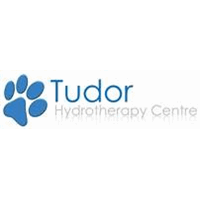 Tudor Treadmills