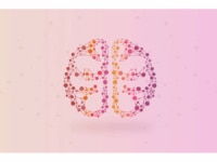 An illustration of a brain, made up of colourful circular shapes and lines.